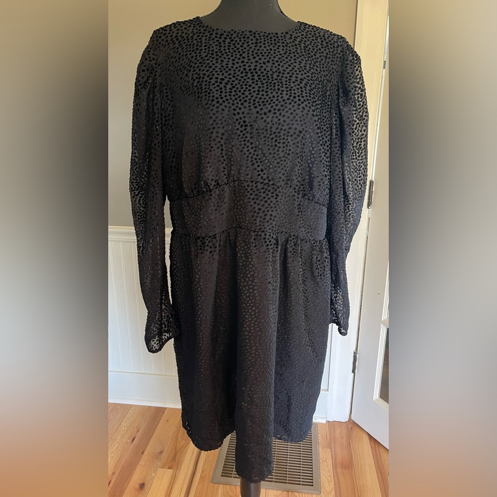 Express mini dress